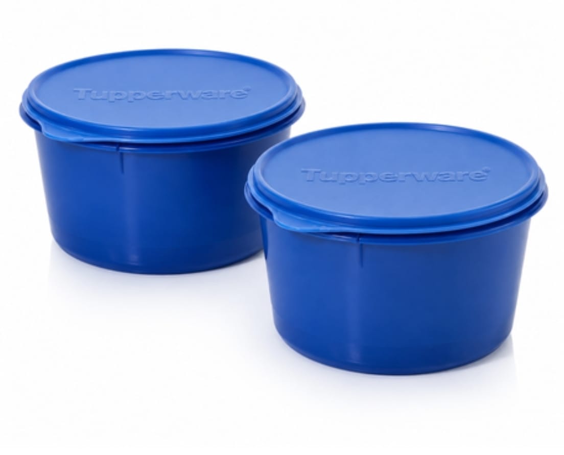 Tupperware Super Storer (Dragonfly)