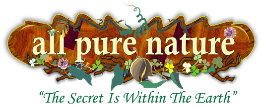 All Pure Nature Skincare
